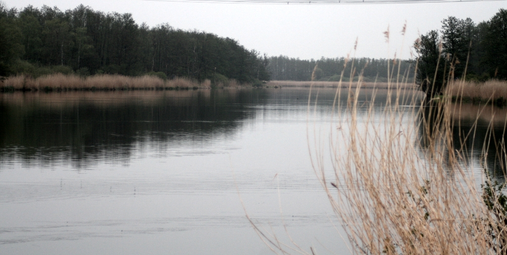 VWG vogelreis Oost Duitsland mei 2010 429
